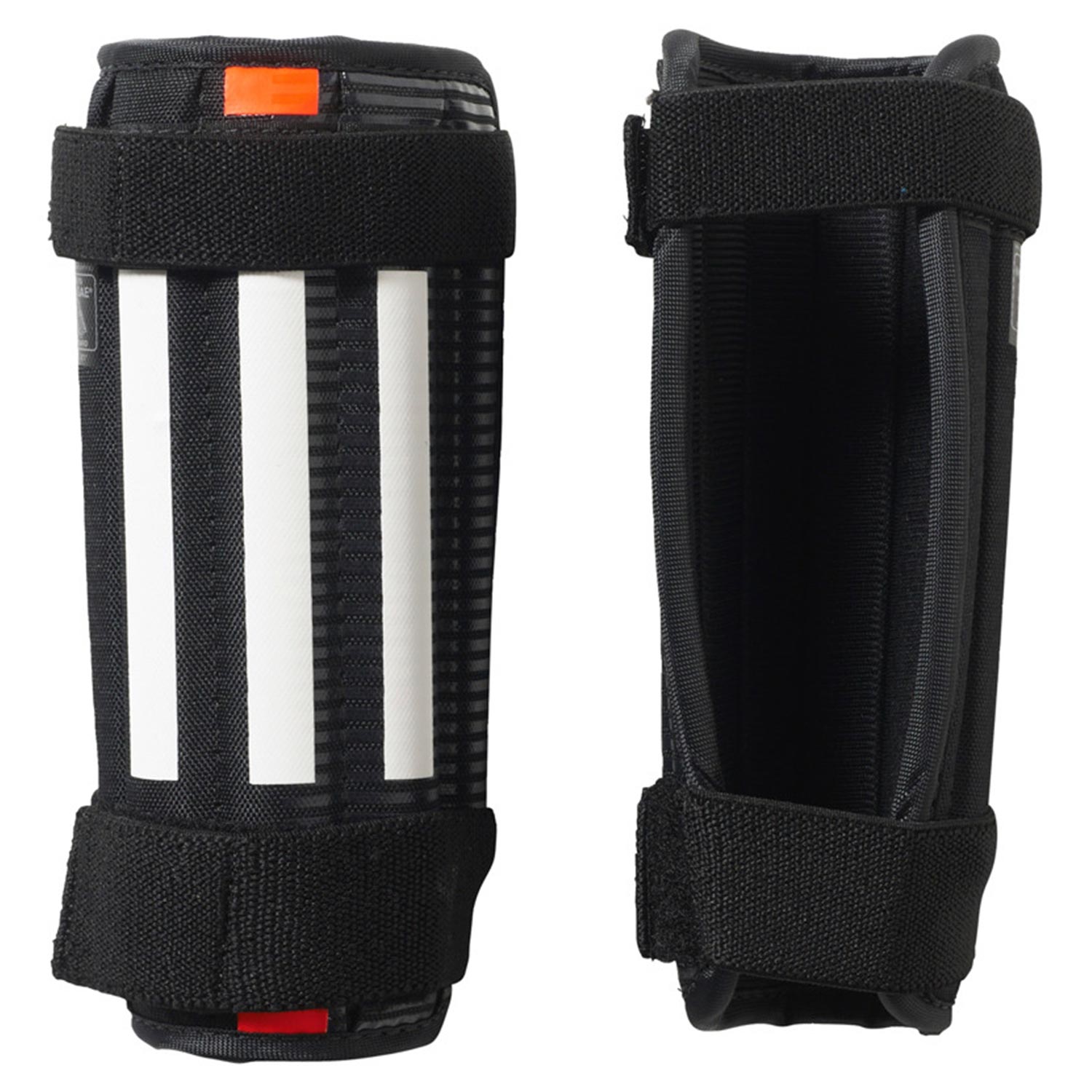 11ANATOMIC LITE