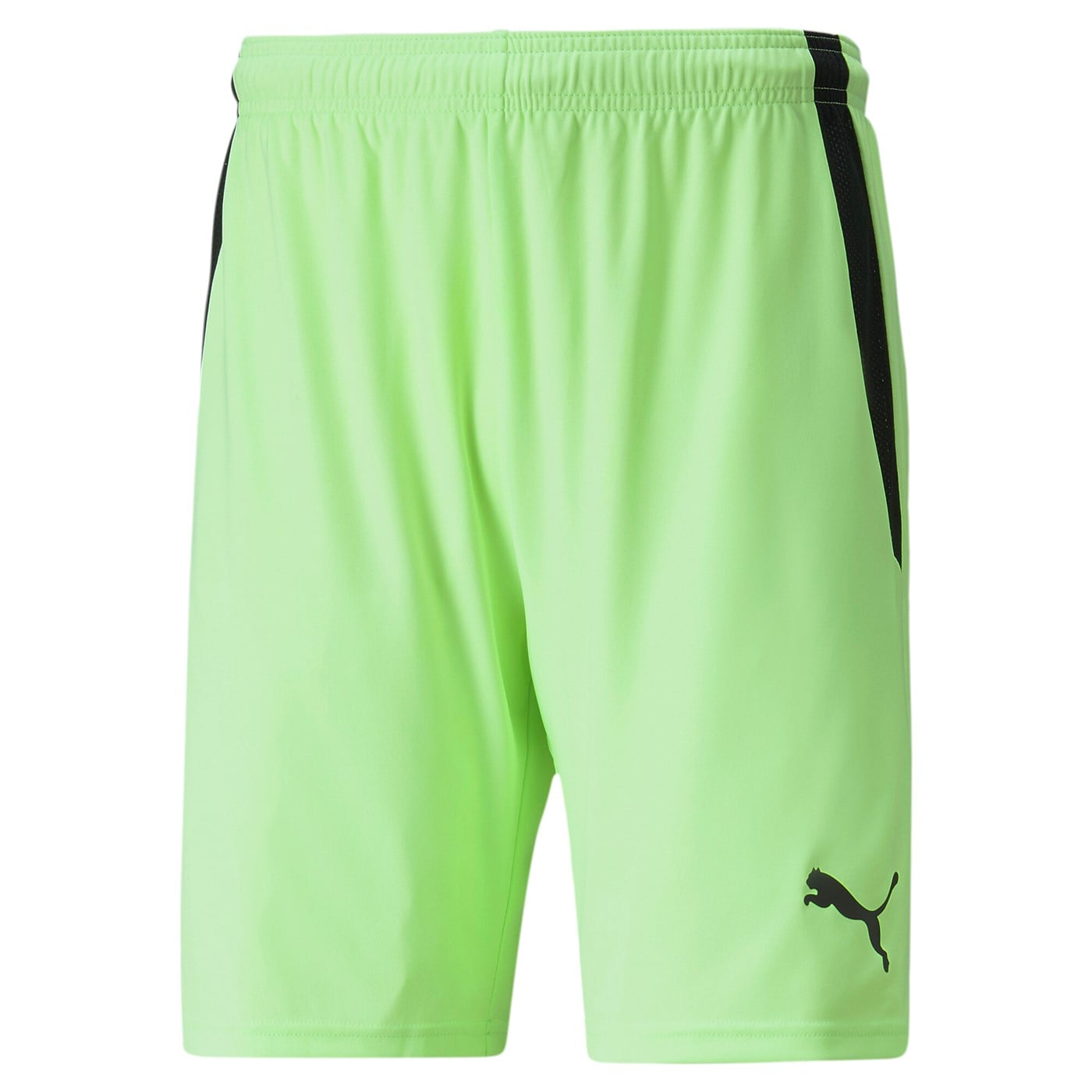 Шорты Team liga shorts