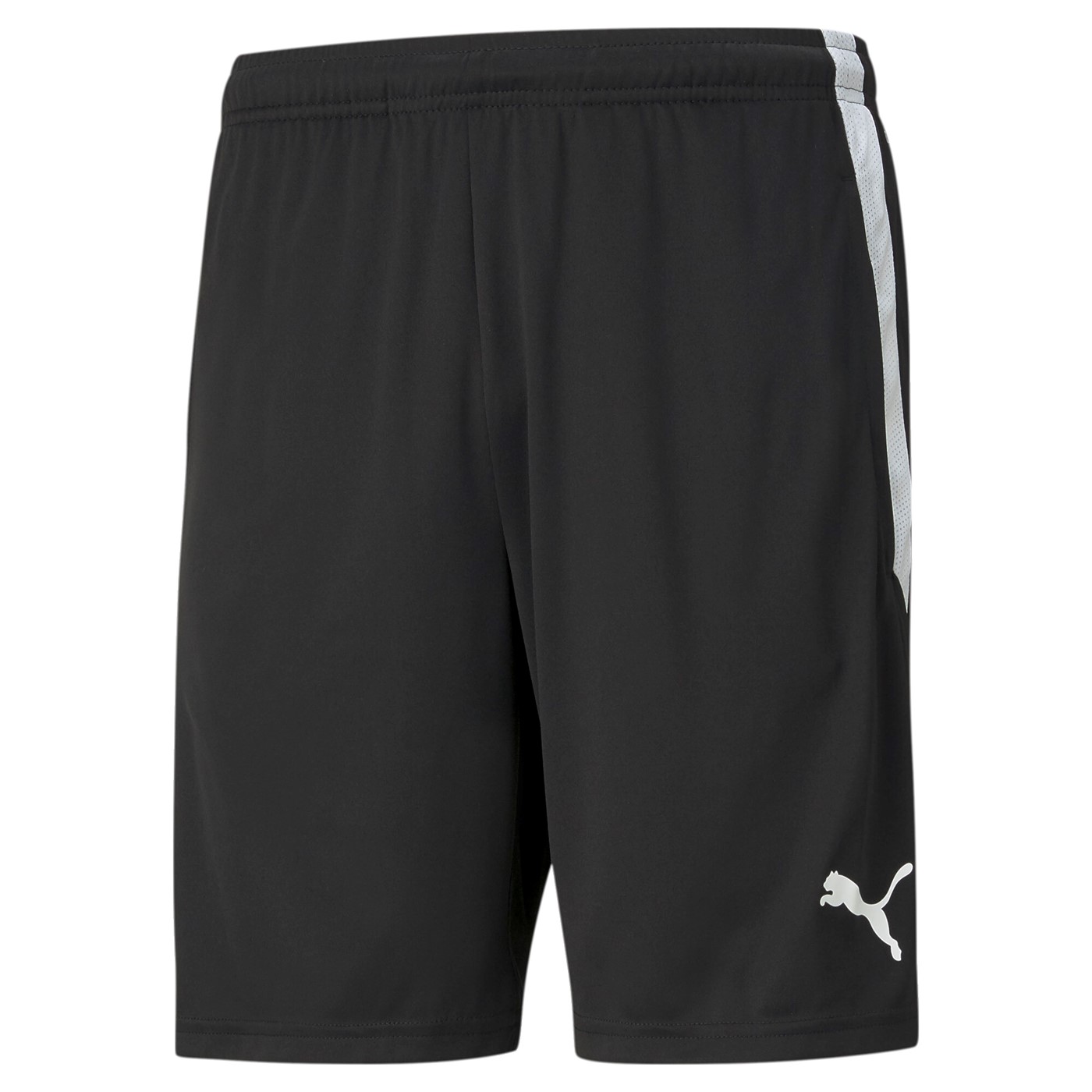 Шорты Team Liga Training Shorts