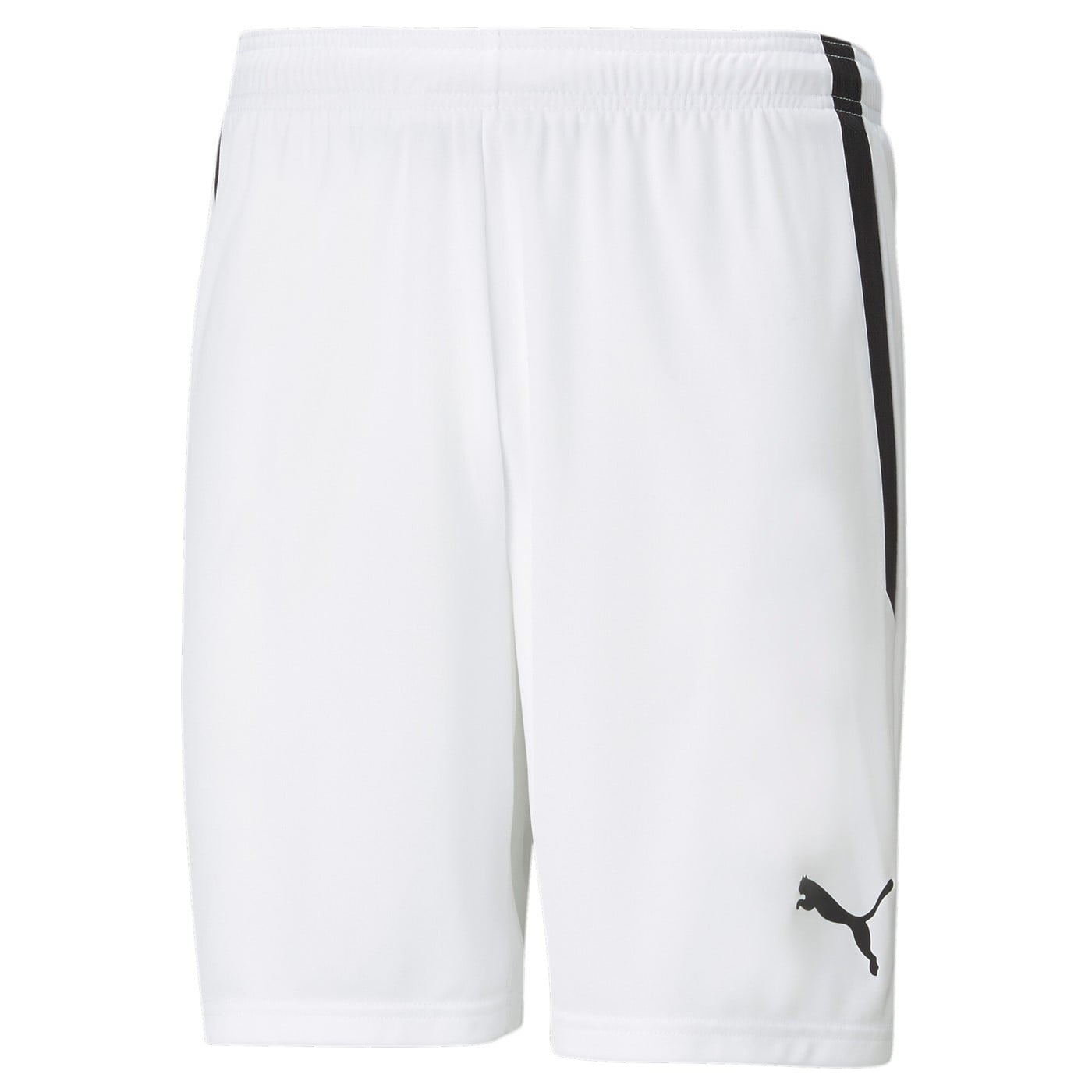 Шорты teamLIGA Shorts
